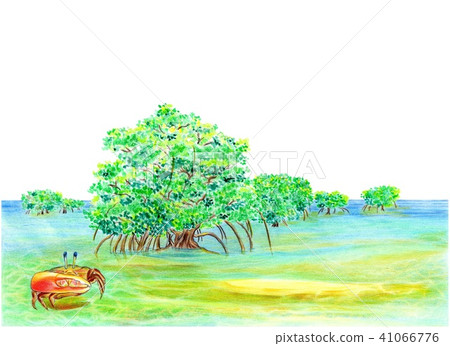 Sea of the South and Shia 41066776