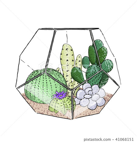 Succulent cactus collection in a ceramic pot. Agave, aloe, Saguaro, gastraea, haworthia, echeveria 41068151