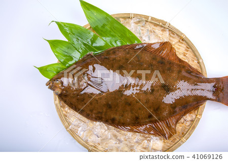 Makogurei成分魚 41069126