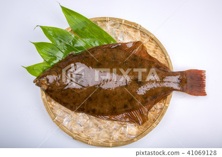 Makogurei成分魚 41069128