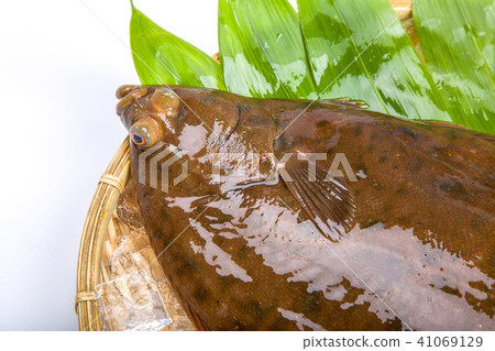 Makogurei ingredients fish Makogurei ingredients fish 41069129