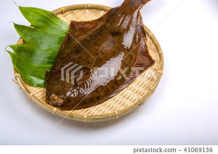 Makogurei成分魚 Makogurei成分魚 41069136