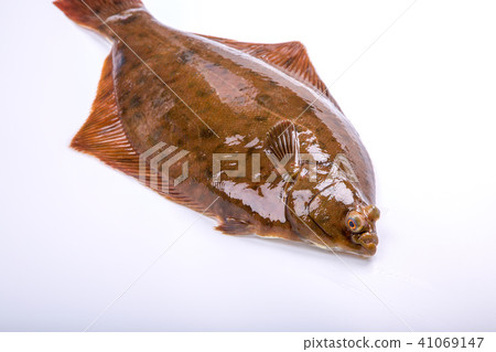 Makogurei ingredients fish Makogurei ingredients fish 41069147