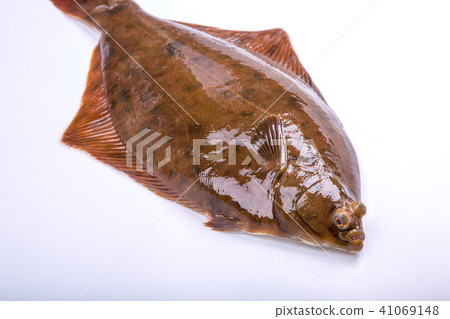 Makogurei ingredients fish Makogurei ingredients fish 41069148