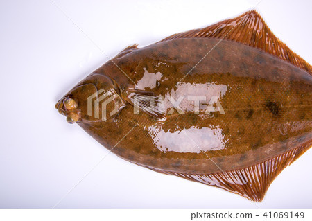 Makogurei ingredients fish Makogurei ingredients fish 41069149