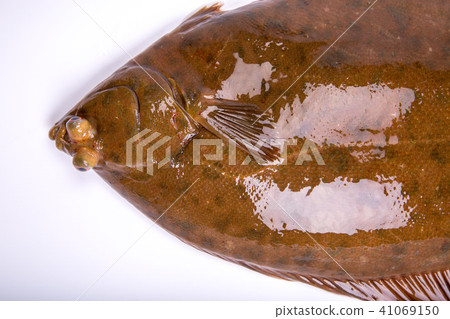 Makogurei ingredients fish Makogurei ingredients fish 41069150