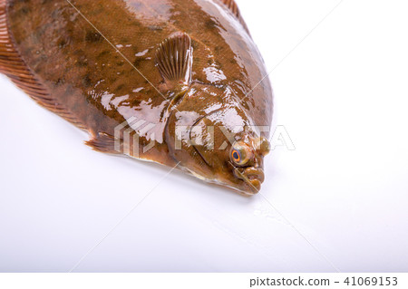 Makogurei成分魚 41069153