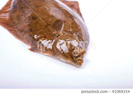Makogurei成分魚 41069154