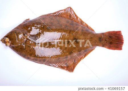 Makogurei ingredients fish Makogurei ingredients fish 41069157