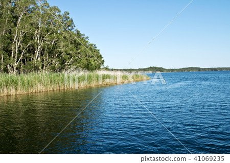 Water Surface of Myall Lake in Australia. Water Surface of Myall Lake in Australia. 41069235