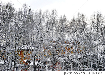 tree branches covered with snow in a city tree branches covered with snow in a city 41071344