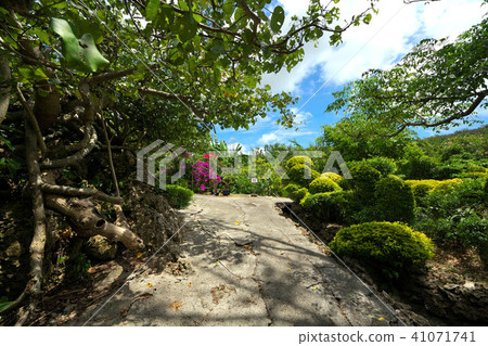 Yoronoshima Yoonne Paradise 41071741