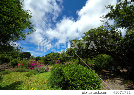 Yoronoshima Yoonne Paradise Yoronoshima Yoonne Paradise 41071751