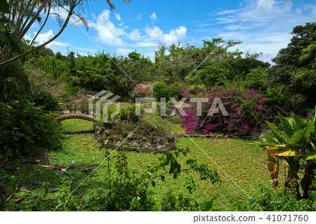 Yoronoshima Yoonne Paradise Yoronoshima Yoonne Paradise 41071760