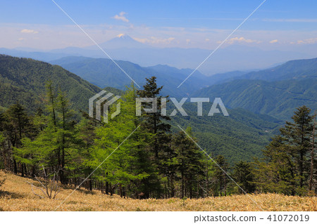 從Oku Chichibu主菜看到的富士山〜在Yugosaka Pass的Kobu Myoshigake-dake 41072019