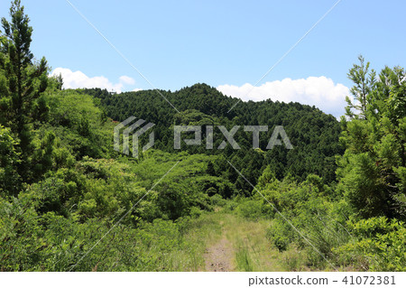 Mineoka Asama(鴨川市) Mineoka Asama(鴨川市) 41072381