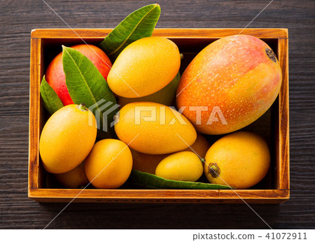 新鮮芒果副本空間芒果 新鮮芒果副本空間芒果 41072911