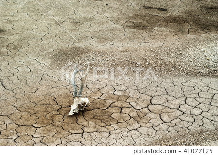 background - dead earth background - dead earth 41077125