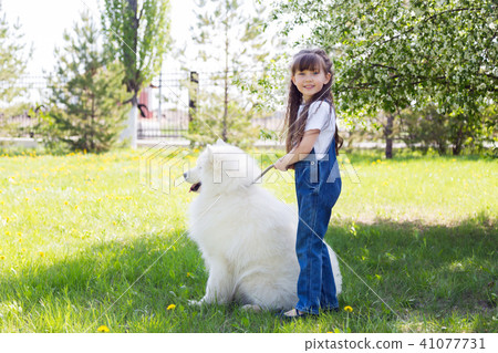 Little girl with a big white dog in the park. 41077731