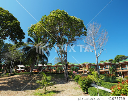 泰國·Lipe Island Mountain Resort Mountain Resort Koh Lipe，泰國 41077739