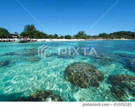 泰國·Koh Lipe·芭堤雅海灘/芭堤雅海灘，Koh Lipe，泰國 41078185