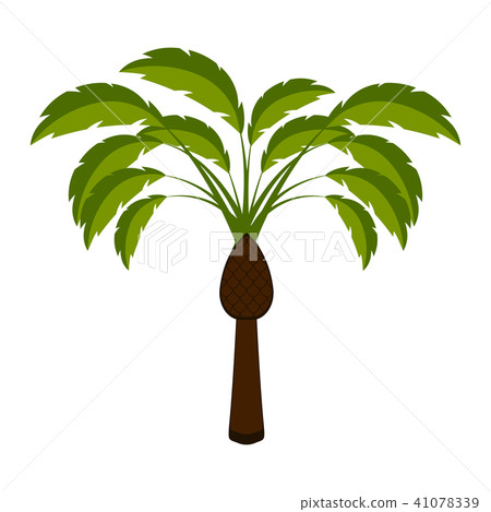 Isolated palm tree icon 41078339