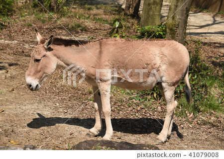 Moukonoroba Moukonoroba 41079008