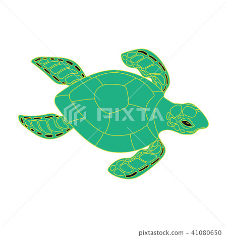 turtle on a white background 41080650