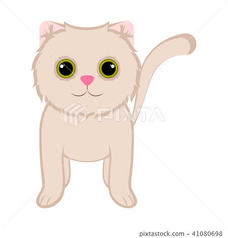 Isolated cute cat 41080698