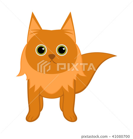 Isolated cute cat 41080700