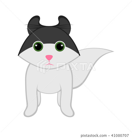 Isolated cute cat 41080707