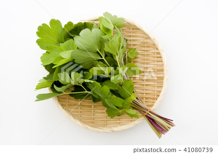 Longevity grass (Button bow fish) 41080739