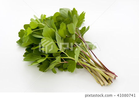 Longevity grass (Button bow fish) 41080741
