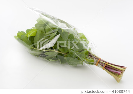 長壽草（鈕扣弓）袋 41080744