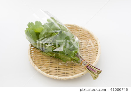 長壽草（鈕扣弓）袋 41080746