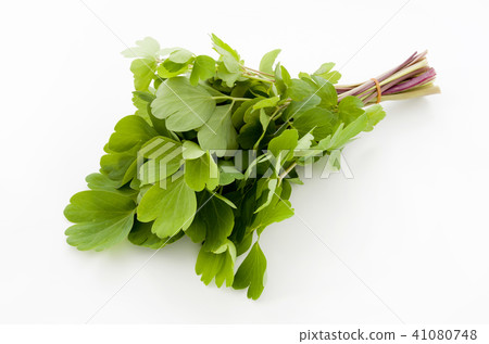 Longevity grass (Button bow fish) 41080748