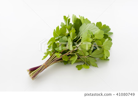 Longevity grass (Button bow fish) Longevity grass (Button bow fish) 41080749