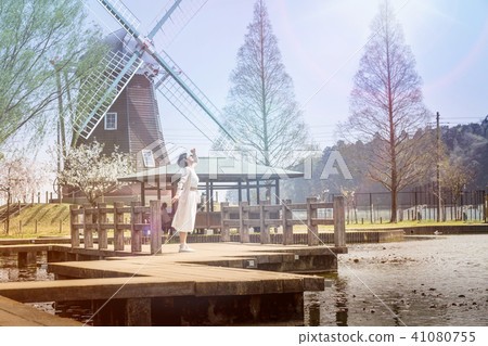 A couple travel tulip is in full bloom! 41080755