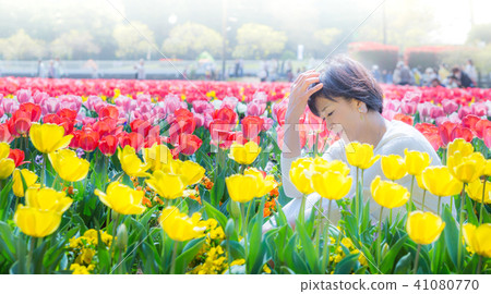 A couple travel tulip is in full bloom! 41080770