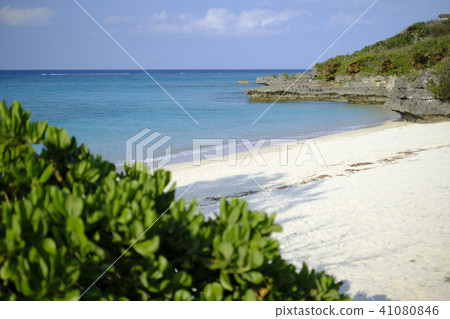 Okinawa Landscape Red Grass Beach Okinawa Landscape Red Grass Beach 41080846