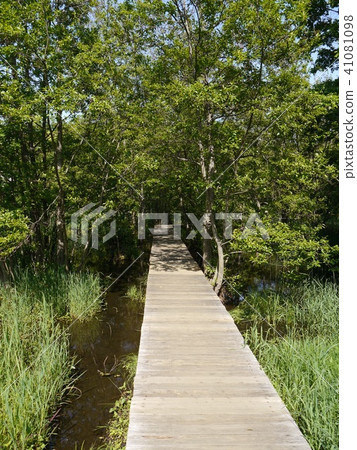 Yagawa Green area (57 name spring water selection in Tokyo) 41081098