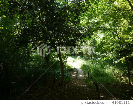 Yagawa Green地區(東京57名泉水選擇) Yagawa Green地區(東京57名泉水選擇) 41081111