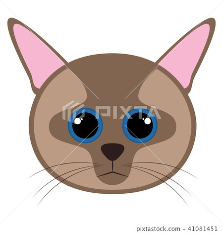 Isolated cute cat avatar Isolated cute cat avatar 41081451