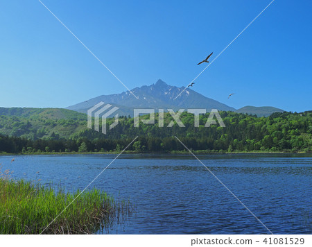 Otatomari Numazumi and Rishiriyama 41081529