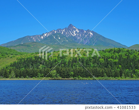 Rishiri Fuji希望從Otatomari沼澤 41081533