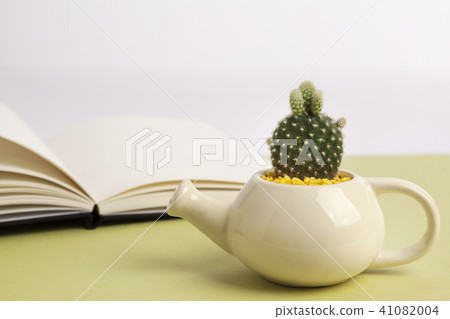 cactus, Cactus, Succulent plant 41082004