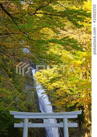 Fudo Falls(Itoigawa-shi) Fudo Falls(Itoigawa-shi) 41082050