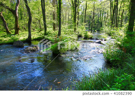 Hibara River in the early summer (Fukushima prefecture · Back Bandai) 41082390
