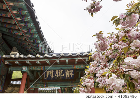 Opening Remarks 41082480