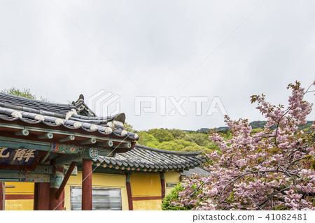 Opening Remarks 41082481